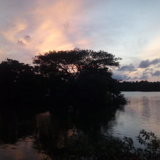 ❤️❤️මිතුරු කැල ❤️???