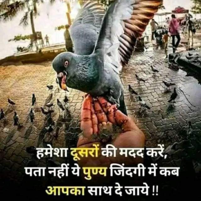 REAL TRUTH Whatsapp group