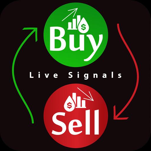 XM Forex free signal Whatsapp group