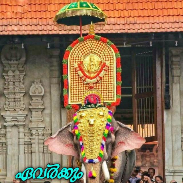 തൃശ്ശൂർ ഗെഡികൾ ഗേ ???️‍??