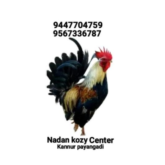 *Guppy Bird center petshop ( new stock updates ??????️??️??)*