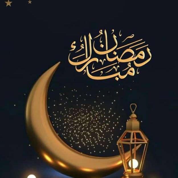 Ahmed Hamud isnt easy Whatsapp group