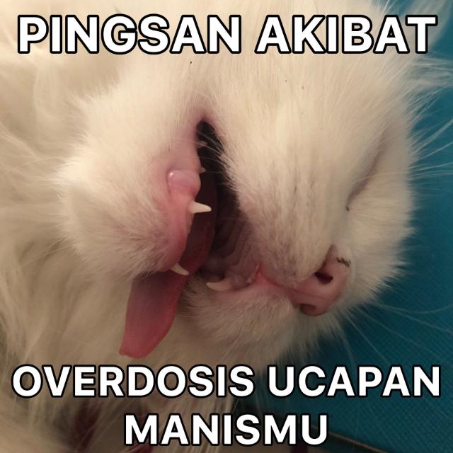 Obrolan santai Whatsapp group