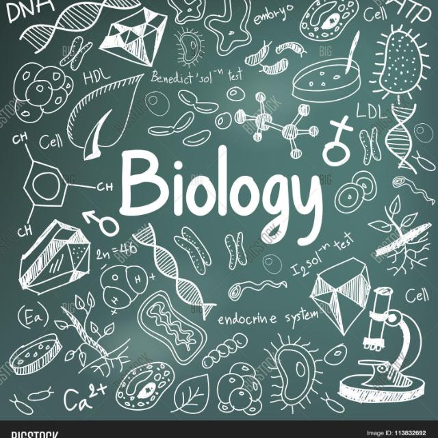 The Biology study group ??