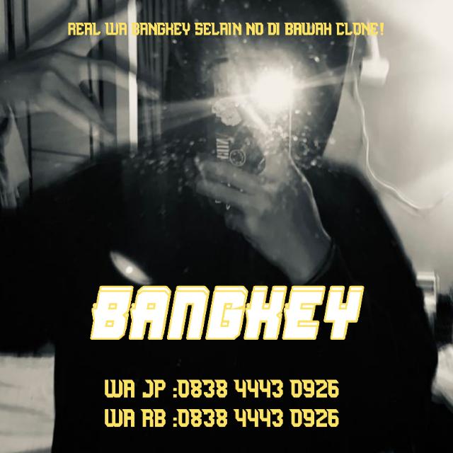 STOK BANGKEY X OWN 1 Whatsapp group
