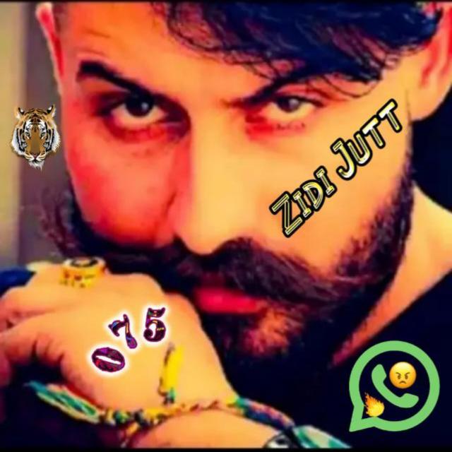ZIDIJUTTAdalat Whatsapp group