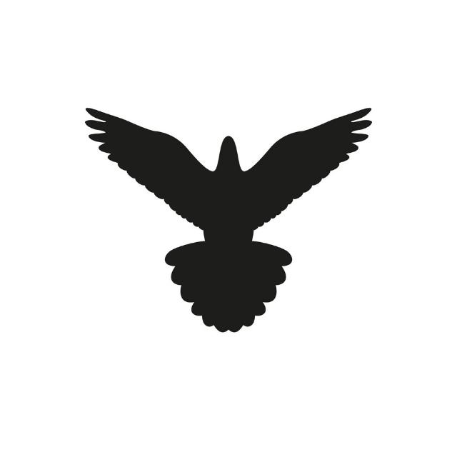 BLACK BIRD CRYPTO FREE SIGNAL AND CUSTOMERS FEEDBACK 