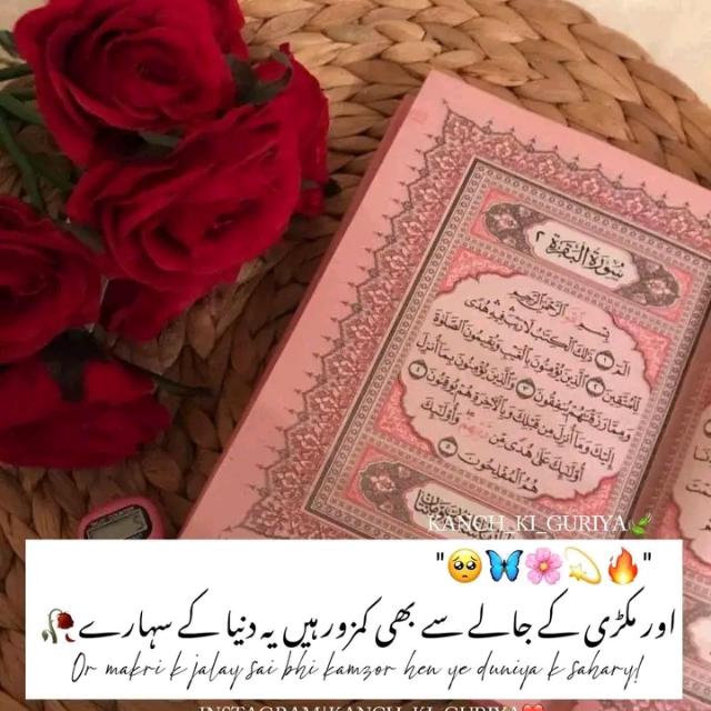 ?اسلامک خوبصورتی(⁠✿⁠^⁠‿⁠^⁠)⁩?