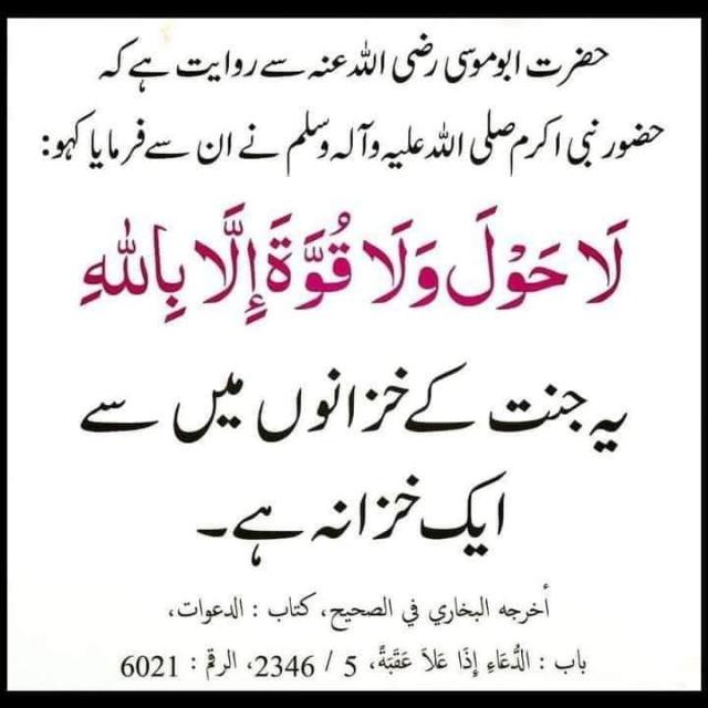Daily Islami Date Whatsapp group