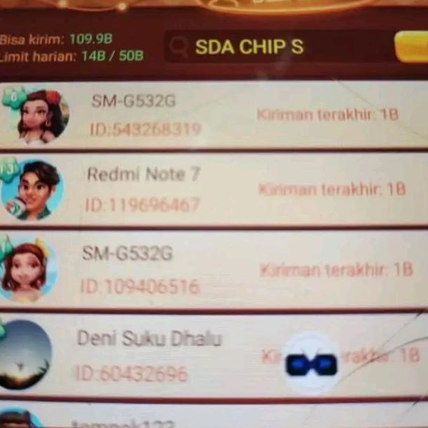 SDA CHIP STORE