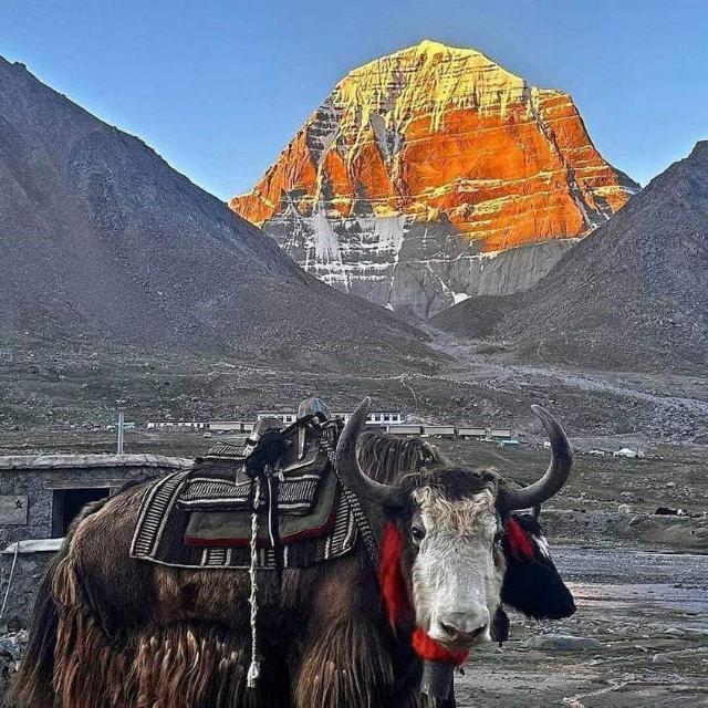 no 1 यारी हैं ???????????