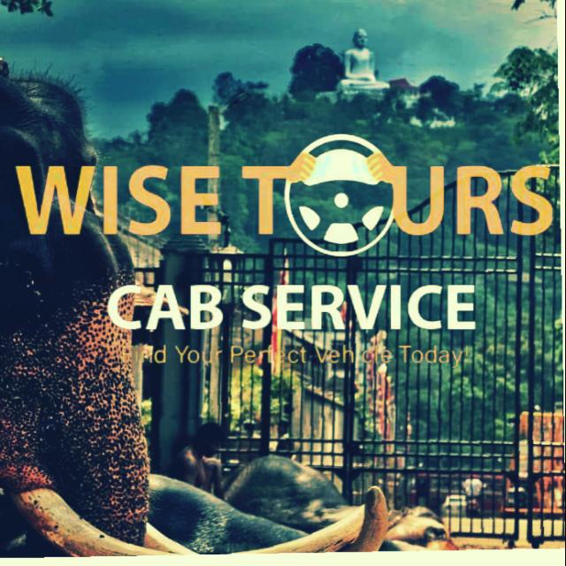 WISE TUORS TAXI SL