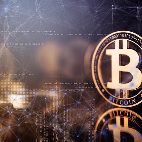 Free Money USDT Whatsapp group