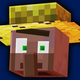 Minecraft grup ?