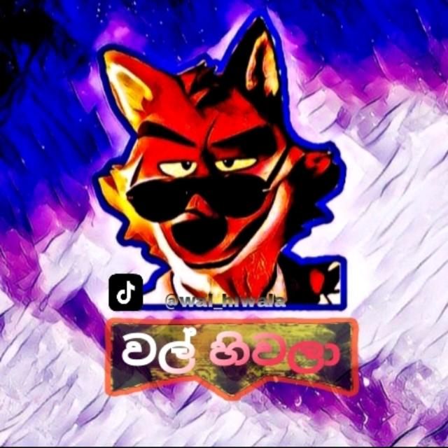 Tik Tok Whatsapp group