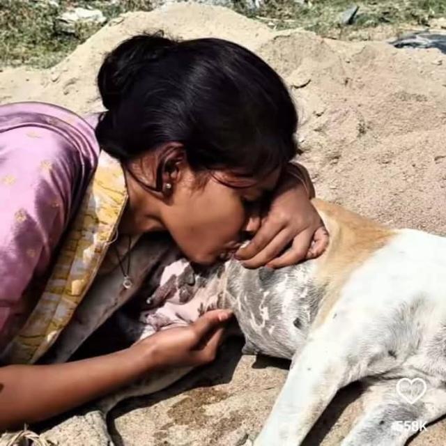 Virl  chut rajasthan