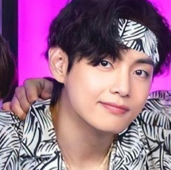 Bts fan and army??