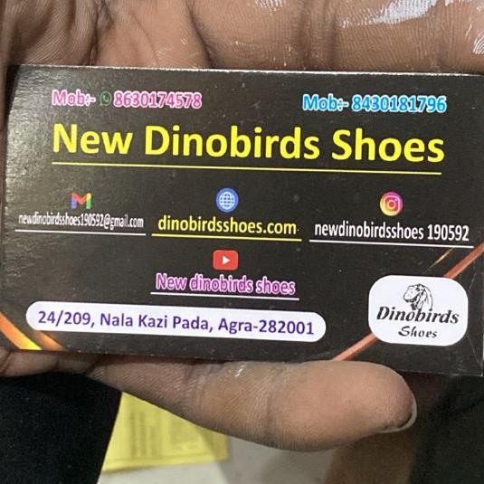 Dinobirds water proof Shoes 