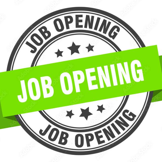 Work From Home ( Online Job )??