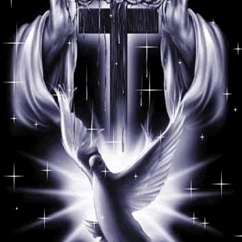 Throne Room Whatsapp group