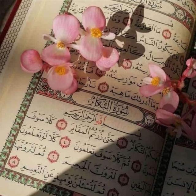 ?سکون قلبQuran تلاوت قرآن کریم?