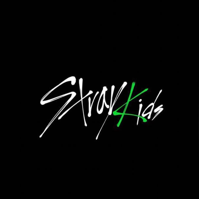 ??~STRAY KIDS~??